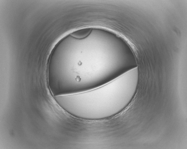 X0000116781534200912171300
