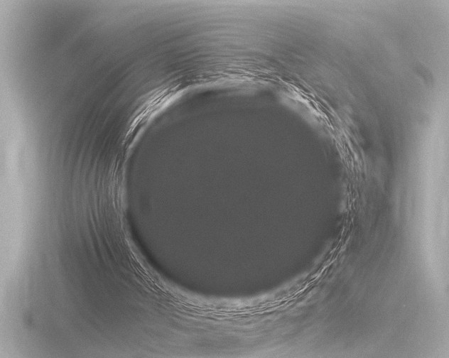 X0000116780002200912171542