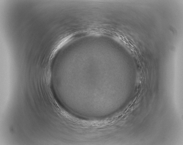 X0000116780005200912171542