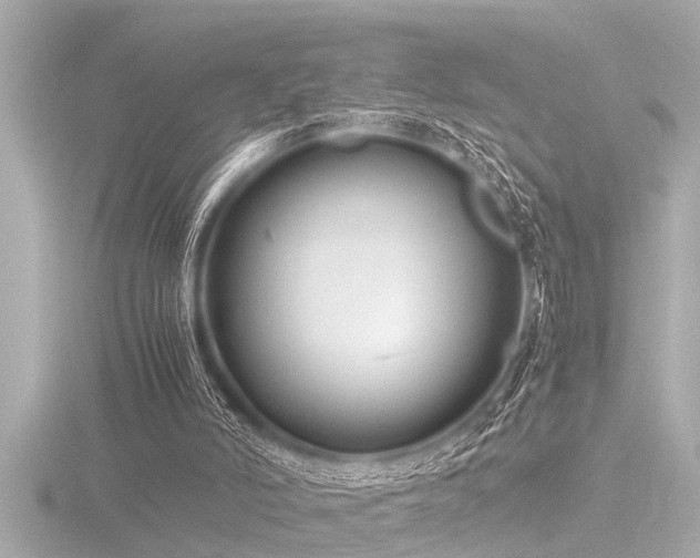 X0000116780006200912171542