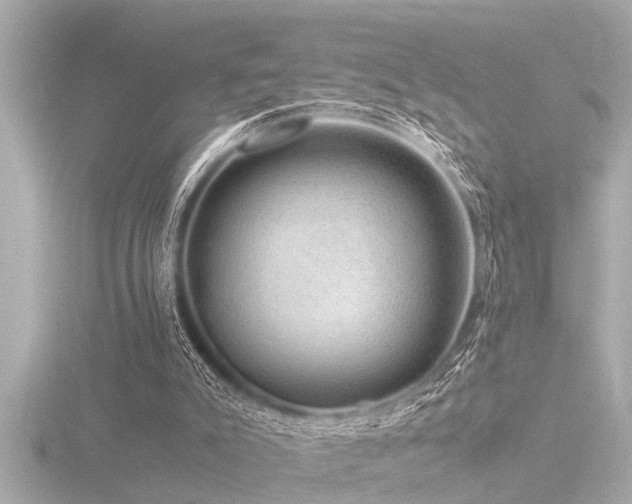 X0000116780007200912171542