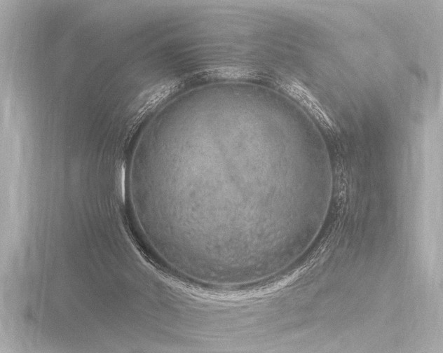 X0000116780014200912171542