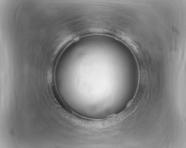 X0000116780015200912171542