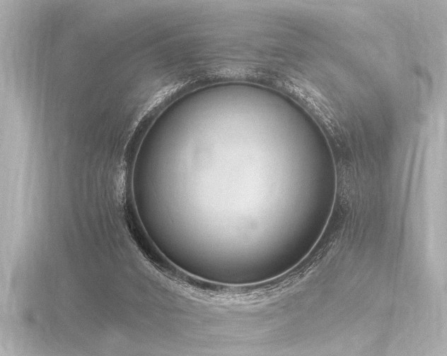 X0000116780016200912171542