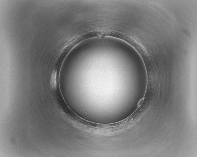 X0000116780024200912171542