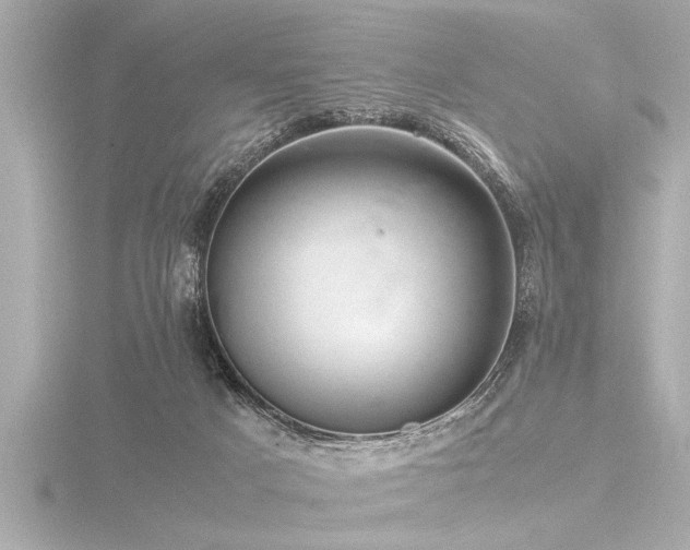 X0000116780025200912171542