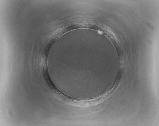 X0000116780029200912171542