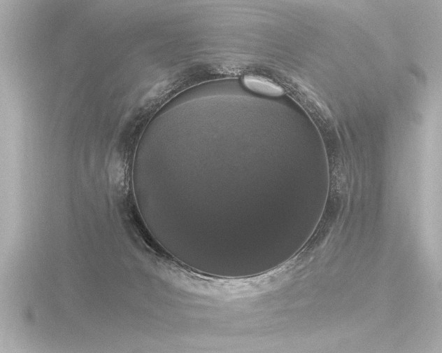 X0000116780031200912171542