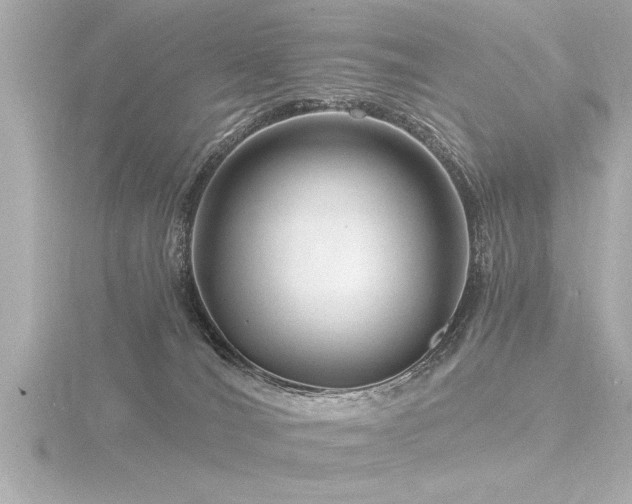 X0000116780036200912171542