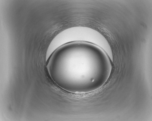 X0000116780037200912171542