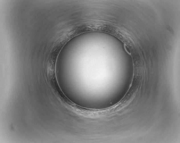 X0000116780040200912171541
