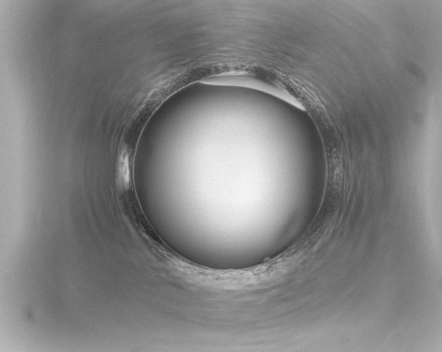 X0000116780042200912171541