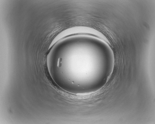 X0000116780043200912171541