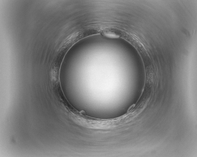 X0000116780044200912171541