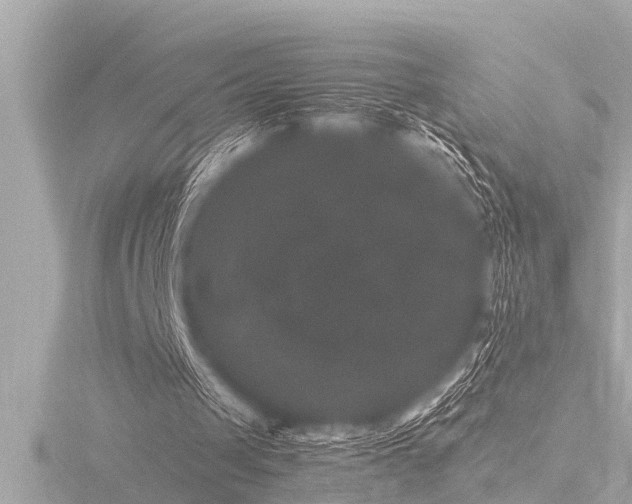 X0000116780049200912171541