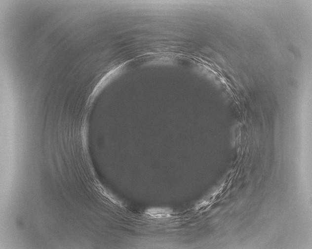 X0000116780051200912171541