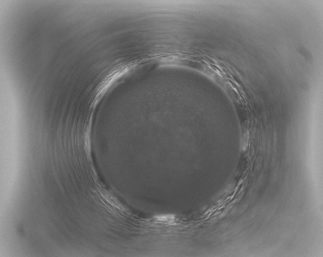 X0000116780052200912171541