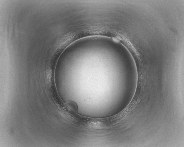 X0000116780066200912171541