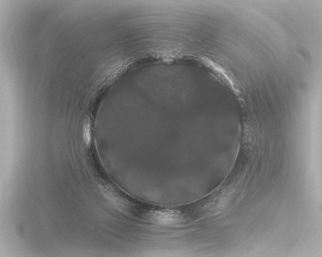 X0000116780069200912171541