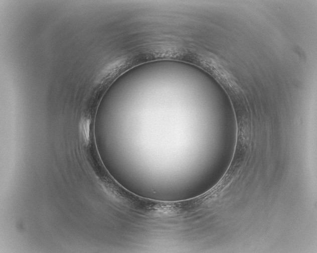 X0000116780070200912171541