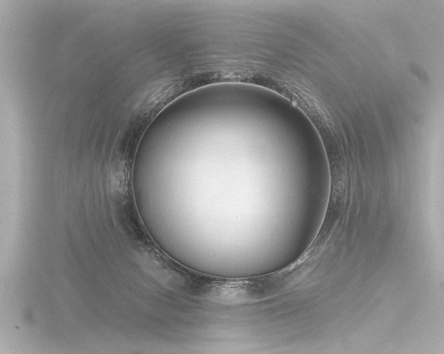 X0000116780078200912171541