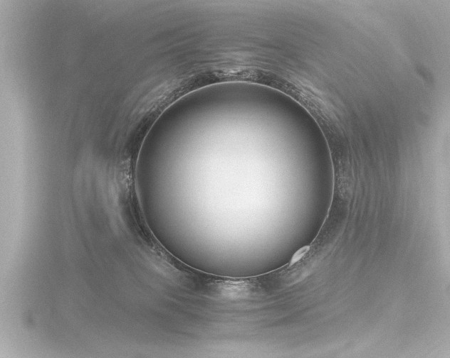 X0000116780085200912171541