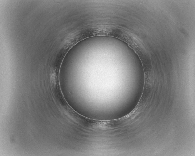 X0000116780086200912171541