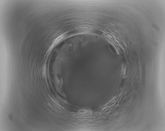 X0000116780099200912171541