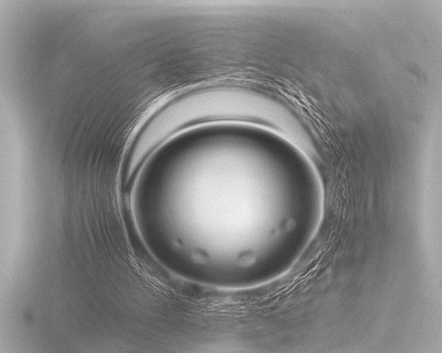 X0000116780100200912171541