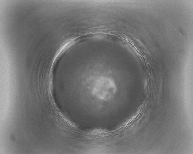 X0000116780101200912171541
