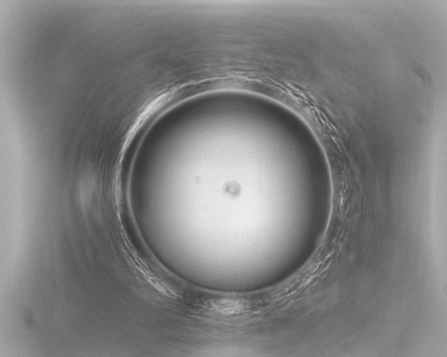 X0000116780102200912171541