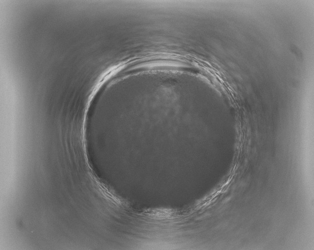 X0000116780104200912171541