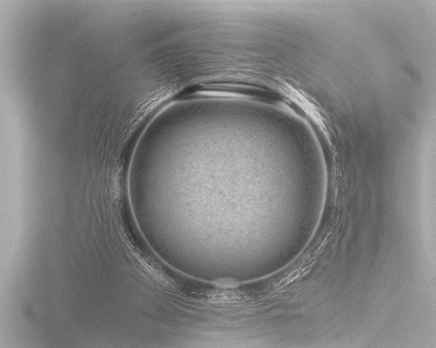 X0000116780105200912171541