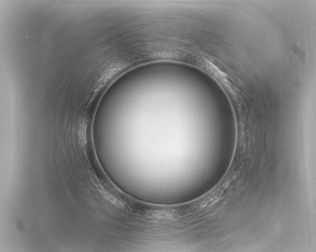 X0000116780106200912171541