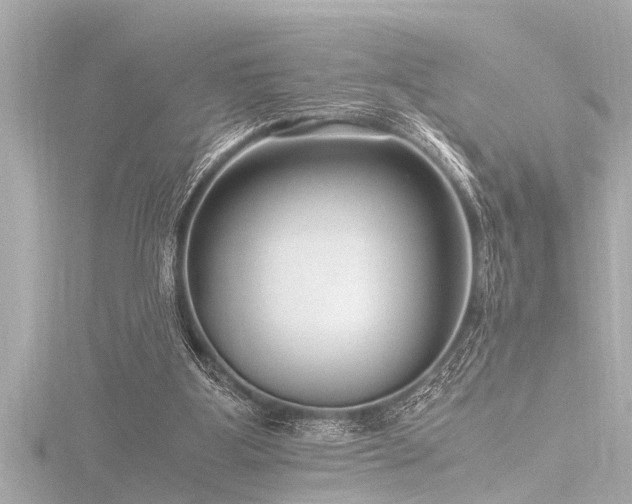 X0000116780107200912171541