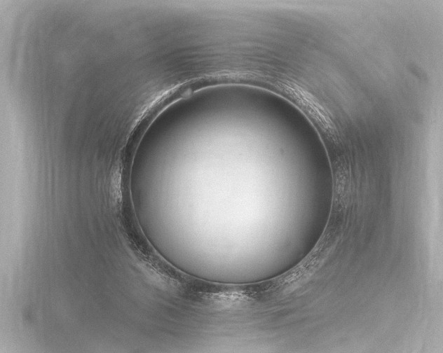 X0000116780112200912171541