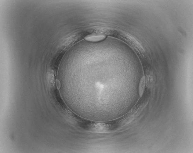 X0000116780121200912171540