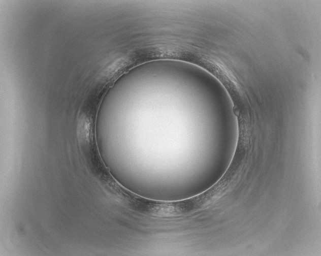 X0000116780123200912171540
