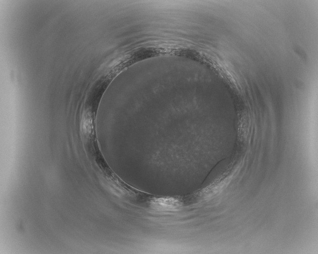 X0000116780137200912171540