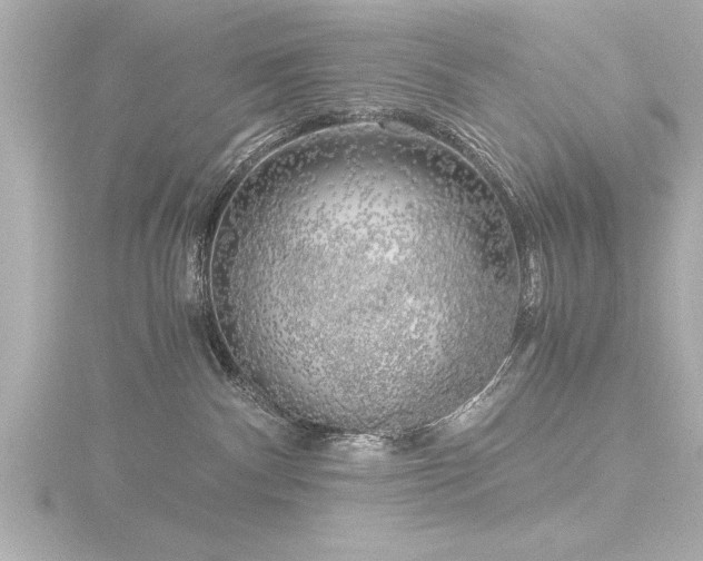 X0000116780140200912171540