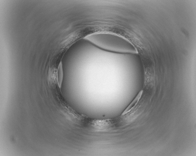 X0000116780141200912171540