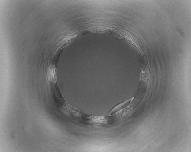 X0000116780143200912171540