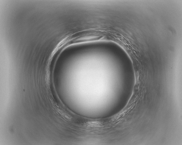 X0000116780150200912171539