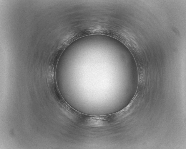 X0000116780179200912171540