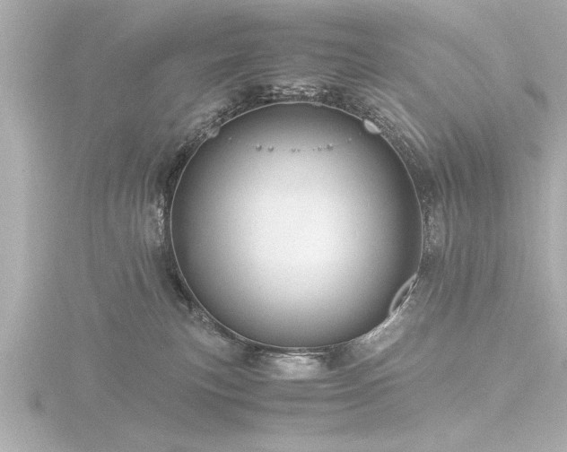 X0000116780183200912171540
