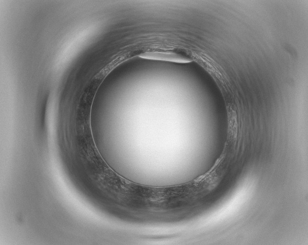 X0000116780191200912171540