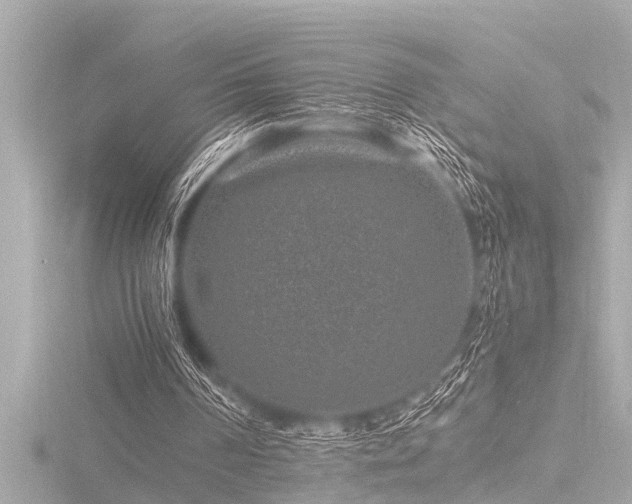 X0000116780194200912171539