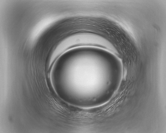 X0000116780195200912171539