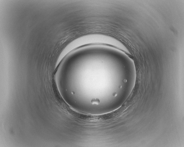 X0000116780219200912171539