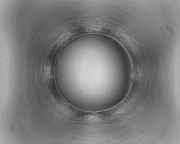 X0000116780224200912171539